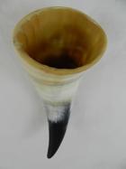 Small Medieval Drinking Horn