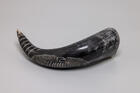 Natural Drinking Horn  Norse Longship Design
