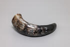 Natural Drinking Horn  Viking Compass Design