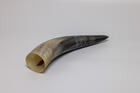 Natural Drinking Horn  World Tree Design