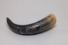 Natural Drinking Horn  Norse Compass and Knotwork Design