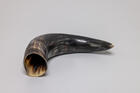 Natural Drinking Horn  Norse Compass and Knotwork Design