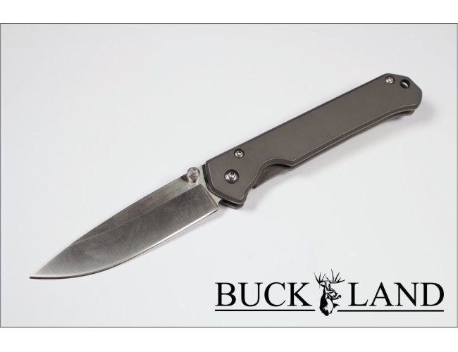 Buckland Titanium Stinger