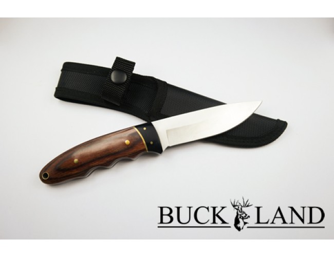 Buckland Old Skool Buckland Old Skool