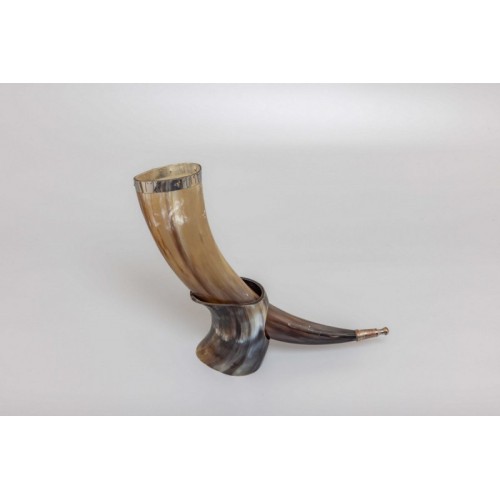 Viking Runes Horn with Natural Horn Table Stand