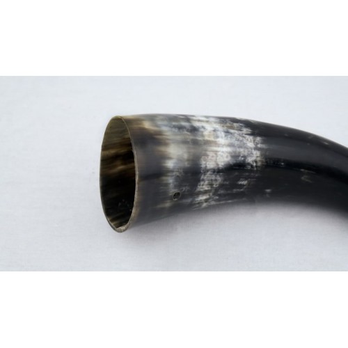 Blowing Horn Bugle with Natural Horn Desk Stand