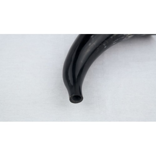 Blowing Horn Bugle with Natural Horn Desk Stand