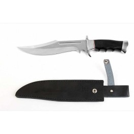 All Star 2 All Star 2