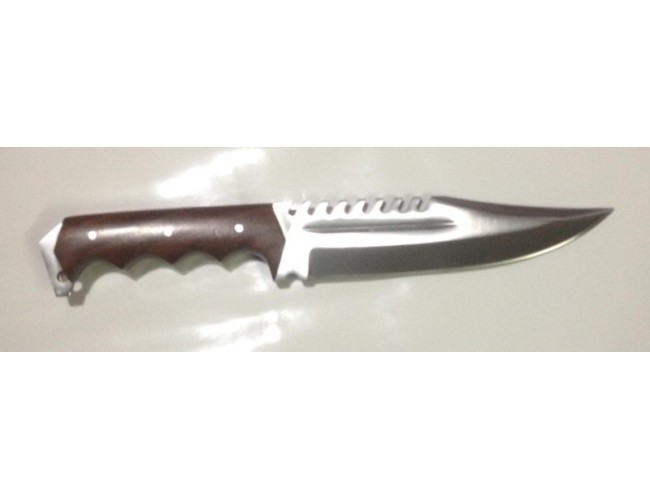 The Dedicated Woodsman