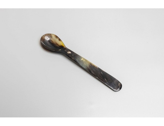 Horn Spoon