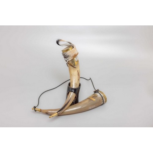 Thor Horn with All Accessories