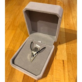 Bird Skull Pendant in Box
