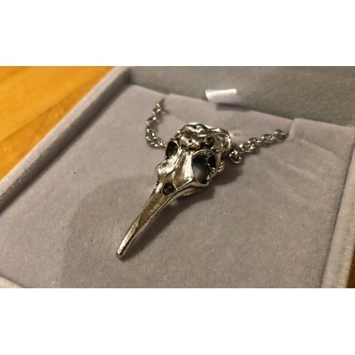 Bird Beak Pendant in Box