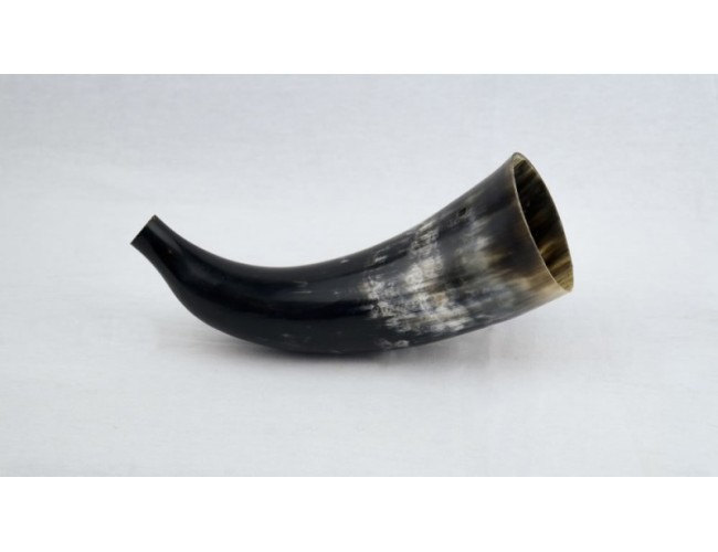 Natural Horn Blowing Horn Bugle