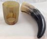 Drinking Horns